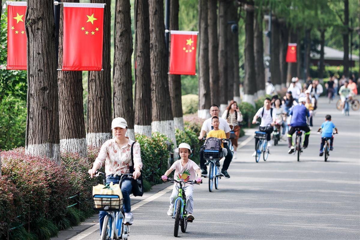 大丰收网址导航